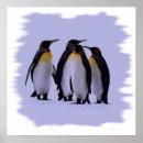 Recherche de pingouin posters Nature