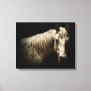 Recherche de cheval occidental art Animaux