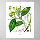 Recherche de vintage herb posters Floral