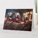 Zoek naar grappige weimaraner kaarten Huisdier
