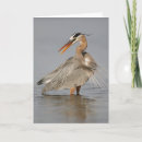 Zoek naar heron fotografie Grote blauwe hert