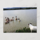 Zoek naar jack russell terrier dog briefkaarten Doodsbang