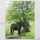 Recherche de le cheval prospectus Chevaux