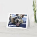 Recherche de convertible vœux cartes Photographie