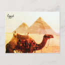 Zoek naar pyramid briefkaarten Kameel