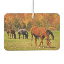 Recherche de chevaux voiture accessoires Brun