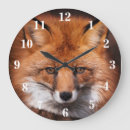 Zoek naar red fox klokken Wild