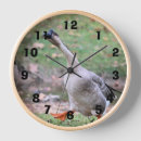 Recherche de oies horloges Photographie