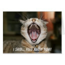 Recherche de salutation de chaton Animaux