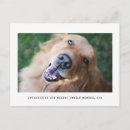 Recherche de adoptions New parents