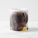 Recherche de duck tasses Mignon