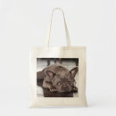 Recherche de somnolent sacs Chien