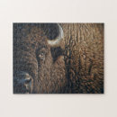 Recherche de tatanka Indien