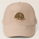 Recherche de tatous casquettes Faune