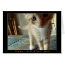 Recherche de kit cartes postales Orange