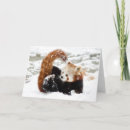 Recherche de panda noël cartes postales Rouge