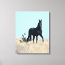 Recherche de étalon noir sauvage art Mustang