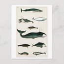 Recherche de marine vintage cartes postales Mer