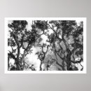 Recherche de copie de nature posters Feuille
