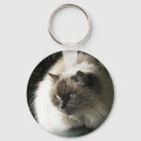 Recherche de chat siamois porteclés Félin