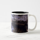 Recherche de fish tasses Ruisseau