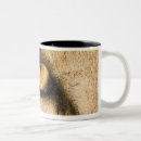 Recherche de parc kruger tasses Animal