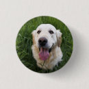 Recherche de souriant badges Animaux