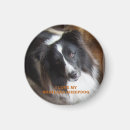 Recherche de colley magnets Noël