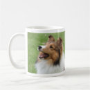 Recherche de chien de berger de shetland tasses Sheltie