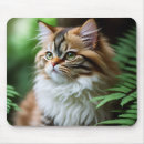 Recherche de chat persan tapis souris Animal