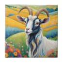 Zoek naar geiten tegels Boerderij