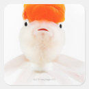 Recherche de tête rouge autocollants Animaux