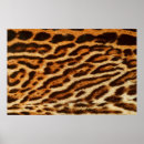 Recherche de textures posters Chat