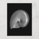Zoek naar schelpen briefkaarten Zee