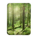 Recherche de irlande magnets Forêt
