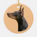Zoek naar doberman ornamenten Pinscher