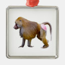 Zoek naar baviaan briefkaarten Aap