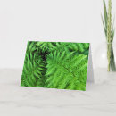 Zoek naar varens kaarten Fotografie