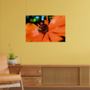 Zoek naar groot formaat posters Natuur