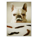 Recherche de bouledogue français cartes postales Petit