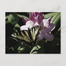 Recherche de rhododendron cartes postales Fleur