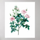 Recherche de copie rose de toile Botanique
