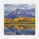 Recherche de miroir magnets Montagne