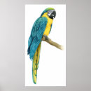 Recherche de ara d art Aras