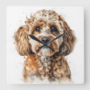 Recherche de cockapoo art Chiot