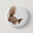Recherche de animaux forêt badges Hiver