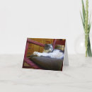 Recherche de chat zen vœux cartes Méditation
