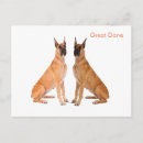 Recherche de grand chien cartes postales Amoureux des chiens