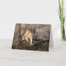 Recherche de de lynx vœux cartes Nature