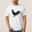 Recherche de jeune coq Noir